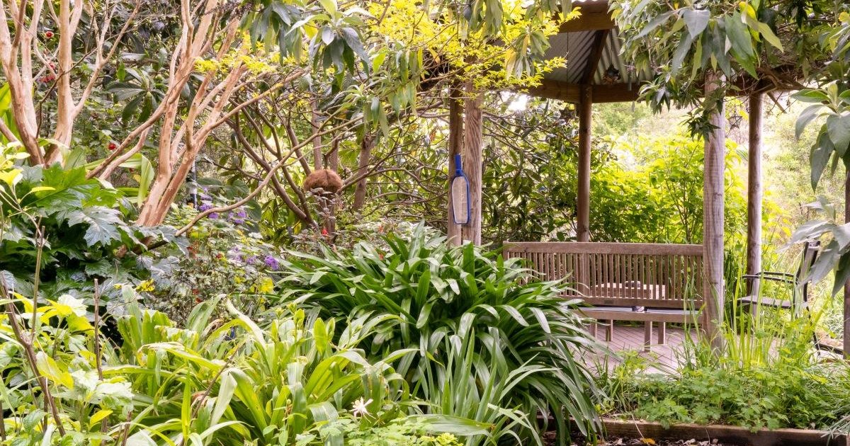 Open Gardens SA | The Bower